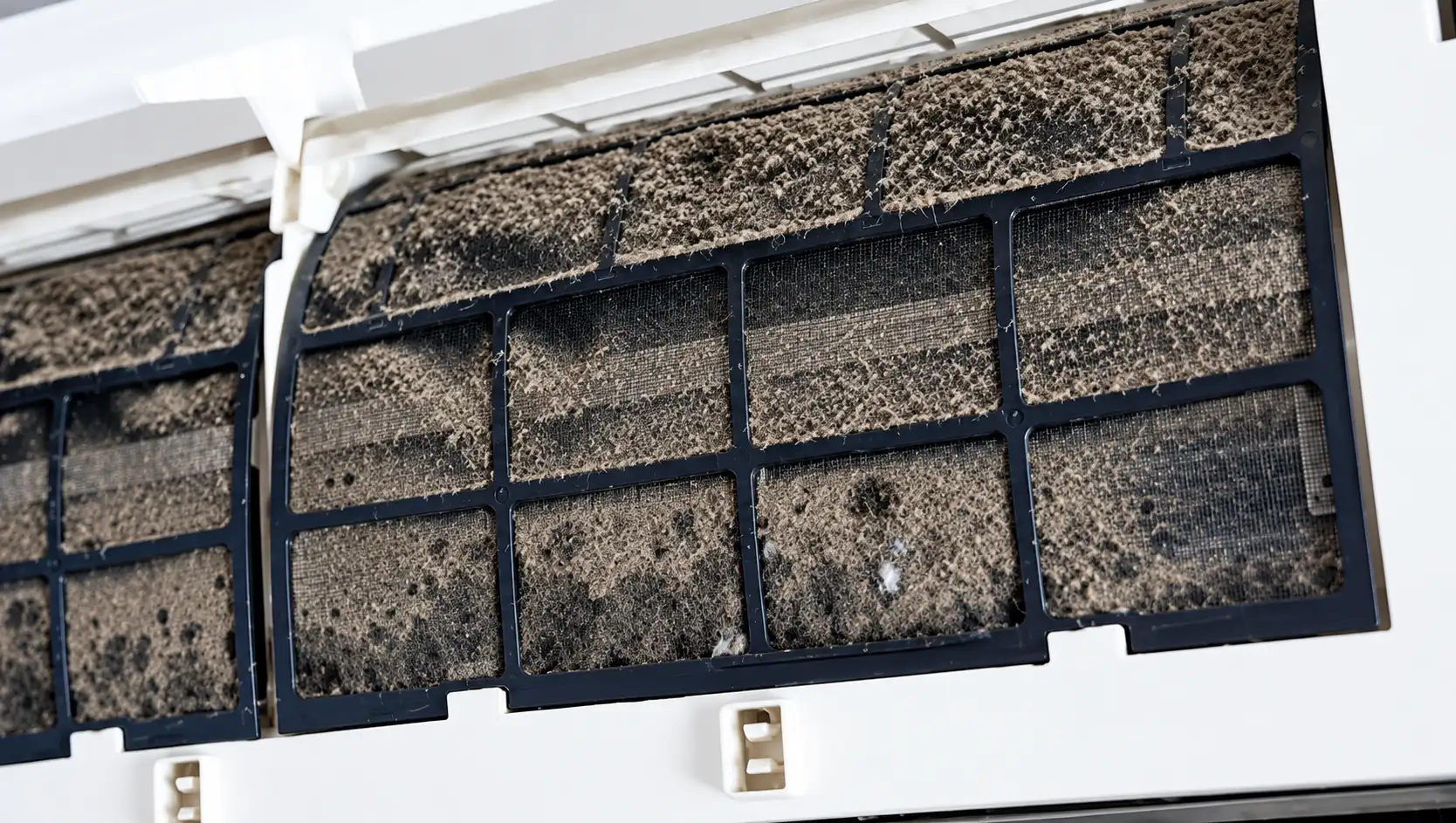 Mould in Air Con Sydney